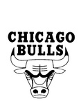 CHICAGO BULLS