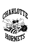 CHARLOTTE HORNETS