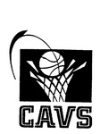 CAVS