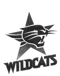WILDCATS