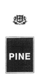 PI NE PINE