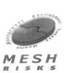 MANAGEMENT ENVIRONMENT SAFETY HEALTH MESH RISKS