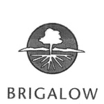 BRIGALOW