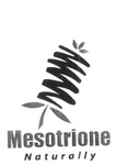 MESOTRIONE NATURALLY