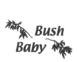 BUSH BABY