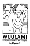 WOOLAMI  HYPERFORMANCE KNITWEAR BY HYSPORT