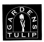 GARDEN TULIP