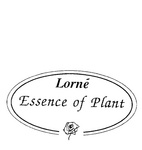 LORNE ESSENCE OF PLANT