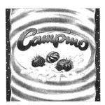 CAMPINO