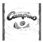 CAMPINO