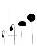 FLOWERBYKENZO
