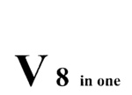 V 8 IN ONE