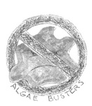 ALGAE BUSTERS