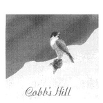 COBB'S HILL