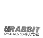 RRABBIT SYSTEM & CONSULTING