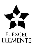 E. EXCEL ELEMENTE