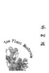 TEA PLANT MUSHROOM