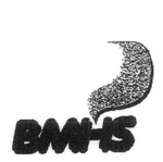 BMHS