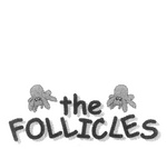 THE FOLLICLES