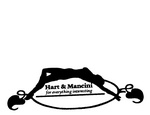 HART & MANCINI FOR EVERYTHING INTERESTING
