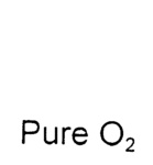PURE O2