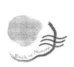 BACK TO NATURE