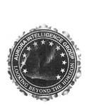 AURORA INTELLIGENCE GROUP LOOKING BEYOND THE HORIZON