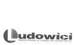 LUDOWICI PROCESSING & HANDLING EQUIPMENT