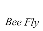 BEE FLY