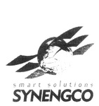 SMART SOLUTIONS SYNENGCO