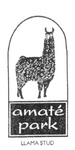 AMATE PARK LLAMA STUD