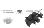 LONGAN IN SYRUP (WHOLE) TWIN ELEPHANTS AND EARTH BRAND