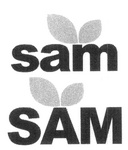 SAM