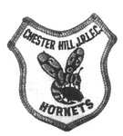 CHESTER HILL J.R.L.F.C. HORNETS