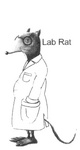 LAB RAT
