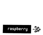 RASPBERRY