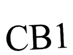 CB1