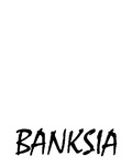 BANKSIA