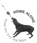 HOME ALONE GREAT FOR ANY DOG MATE