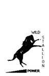 WILD STALLION POWER