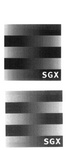 SGX