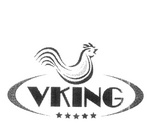 VKING