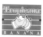 TROPICANA BANANA