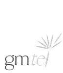 GMTEL