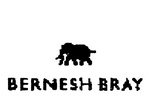 BERNESH BRAY