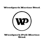 WP  WOODPARK MERINO STUD  WOODPARK POLL MERINO STUD