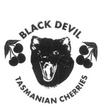 BLACK DEVIL TASMANIAN CHERRIES