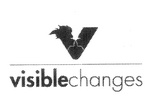 V VISIBLECHANGES
