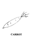 CARROT