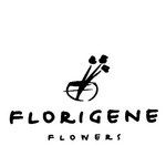 FLORIGENE FLOWERS